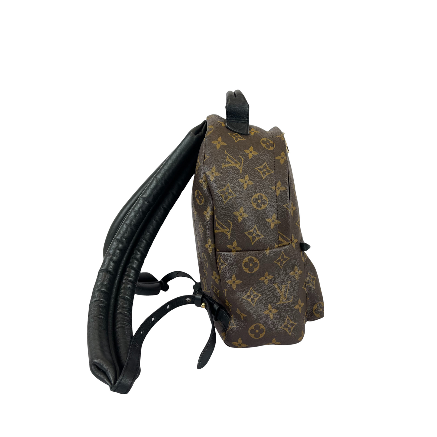 Louis-Vuitton Palm Springs PM Monogram Brown GHW