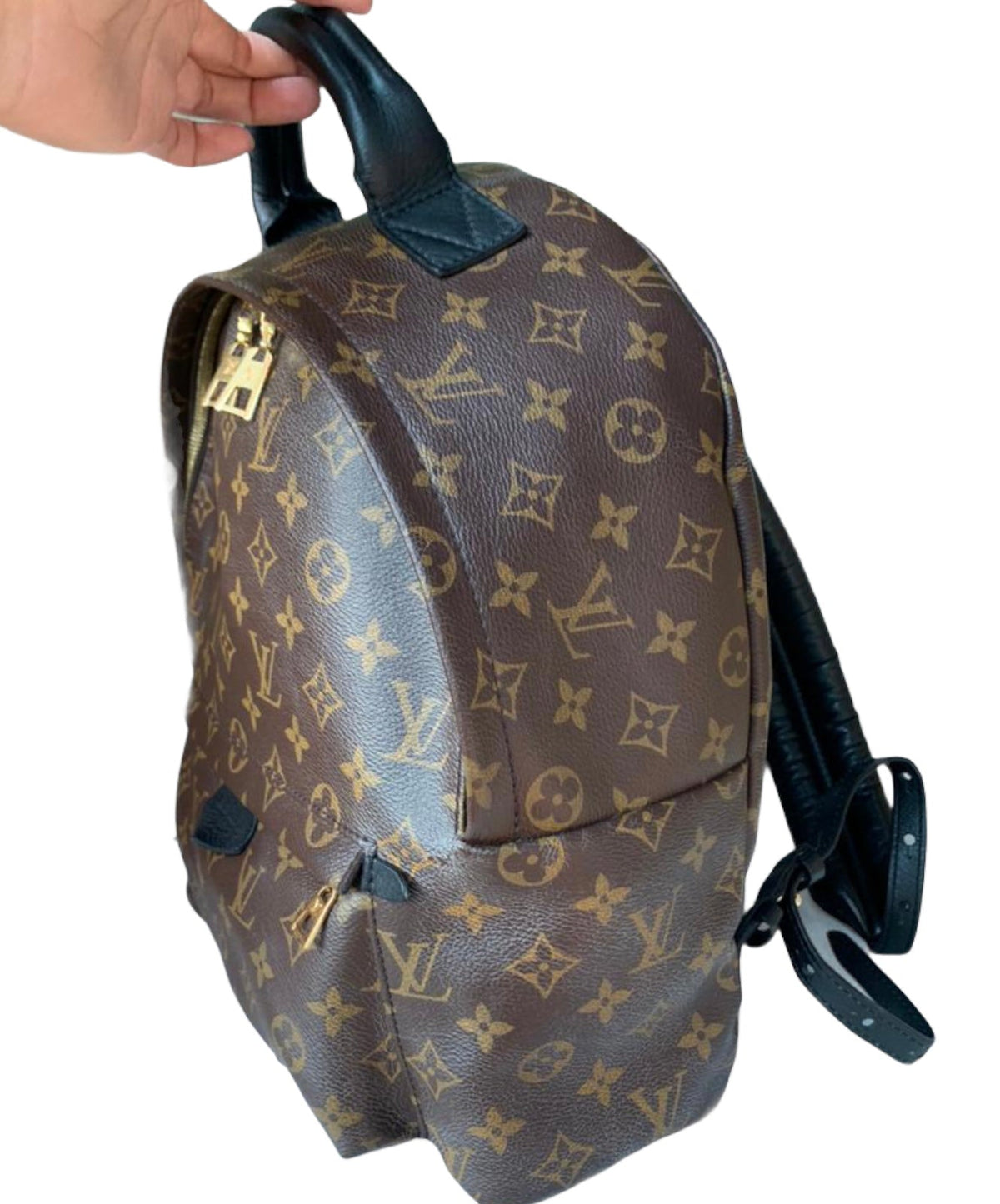 Louis-Vuitton Monogram Palm Springs MM Brown