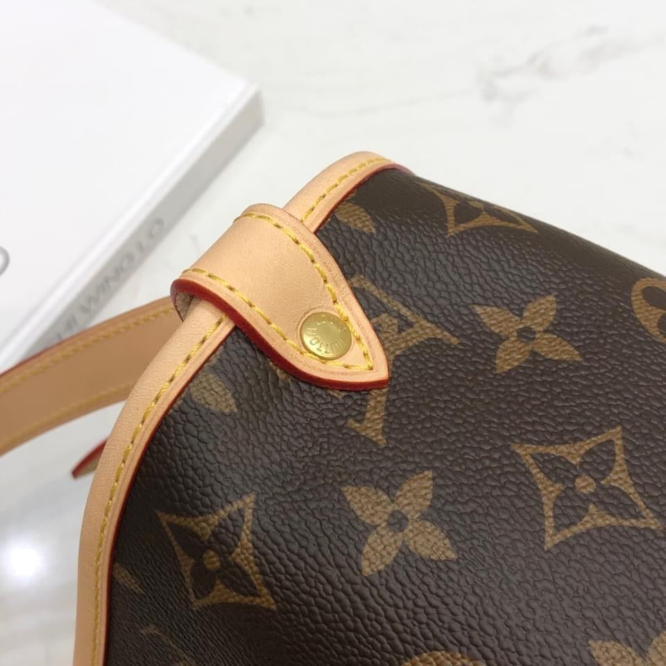 Louis Vuitton Saumur MM Bag