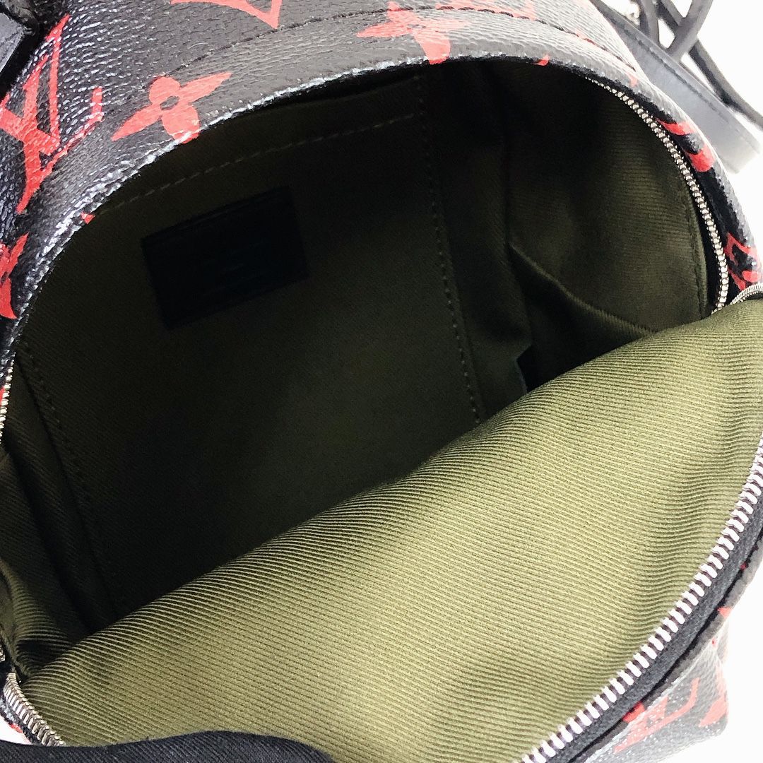 Louis-Vuitton Mini Palm Springs Infrarouge Canvas GHW