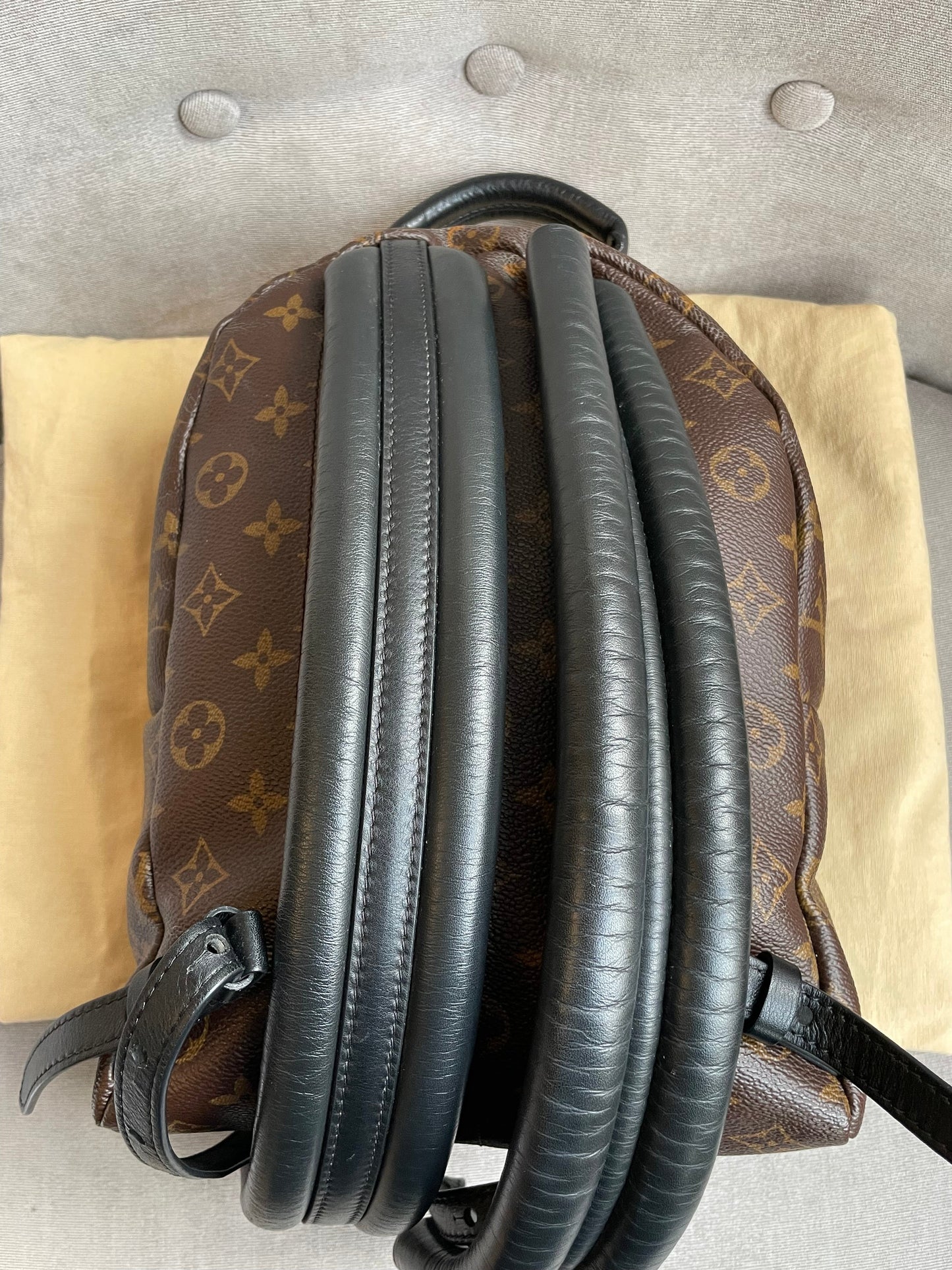 Louis Vuitton Palm Springs PM Backpack (RRP £1,830)