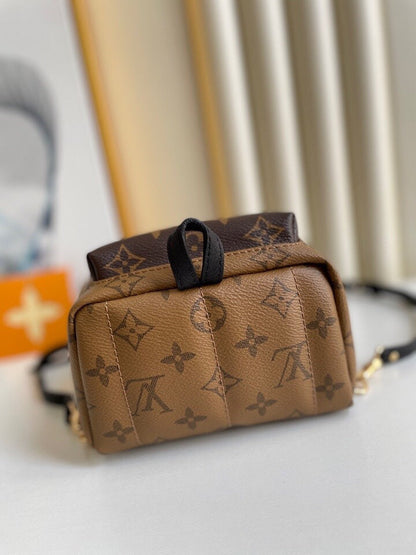 Louis Vuitton Palm Spring Mini Bag