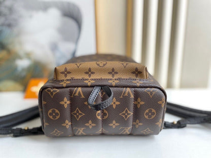 Louis Vuitton Palm Spring PM Bag