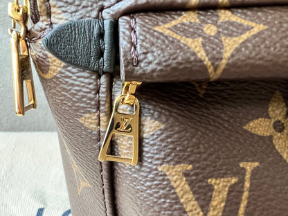 Louis Vuitton Palm Springs Mini Backpack (RRP £1,740)