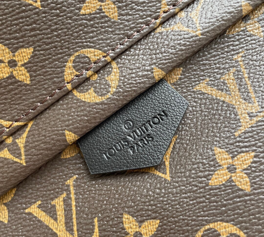 Louis Vuitton Palm Spring MM Bag