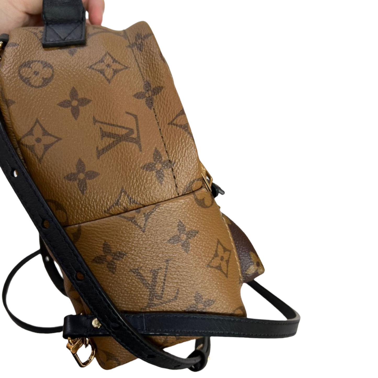 Louis-Vuitton Monogram Reverse Palm Springs Mini GHW