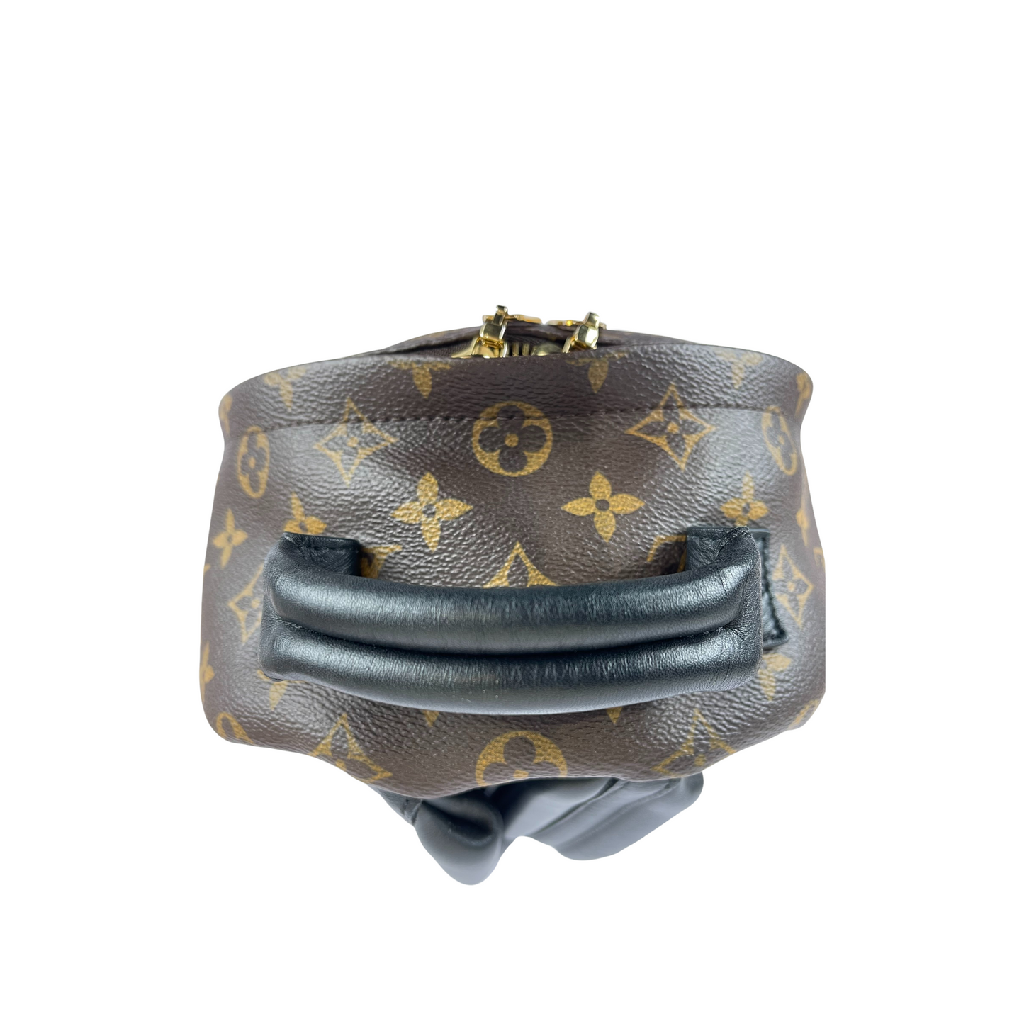Louis-Vuitton Palm Springs PM Monogram Brown GHW