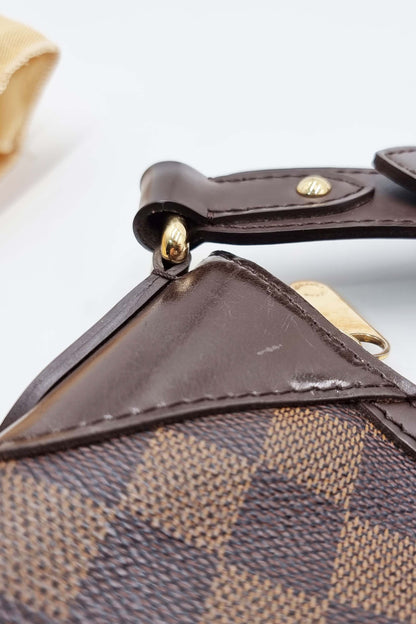 Damier Ebene Thames PM Brown