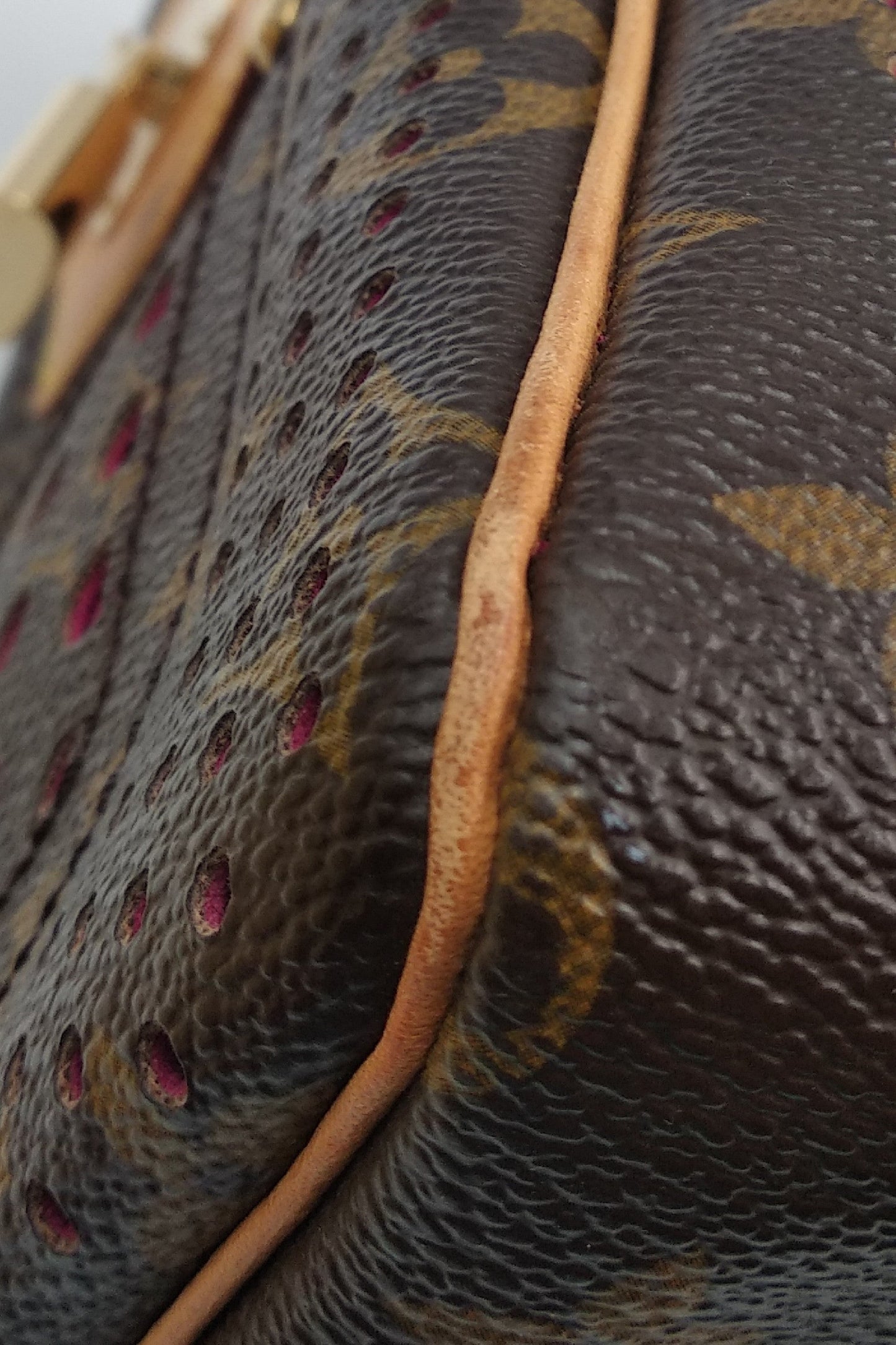 Limited Edition Perforated Speedy 30 Brown Fuschia