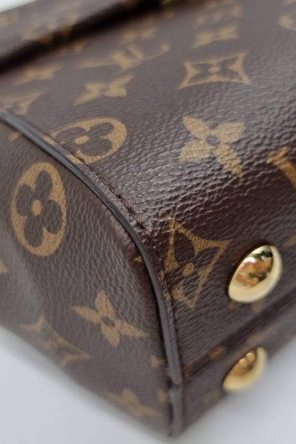 Monogram Cluny BB Brown