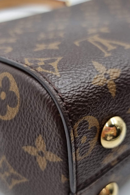 Monogram Cluny BB Brown