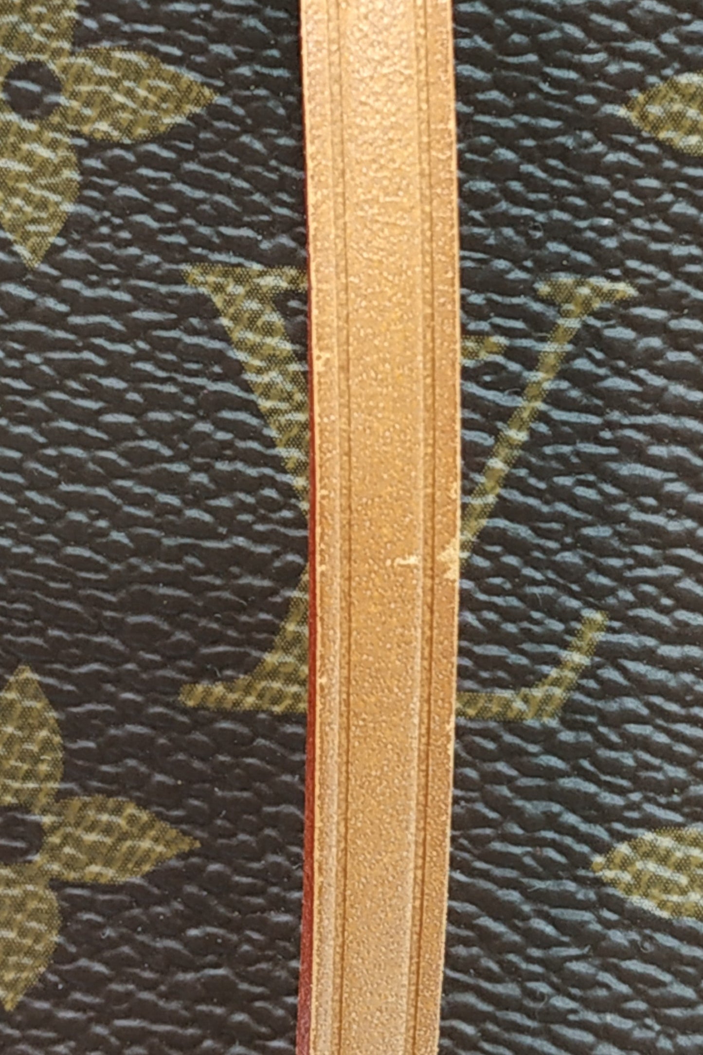 Monogram Cluny MM Brown