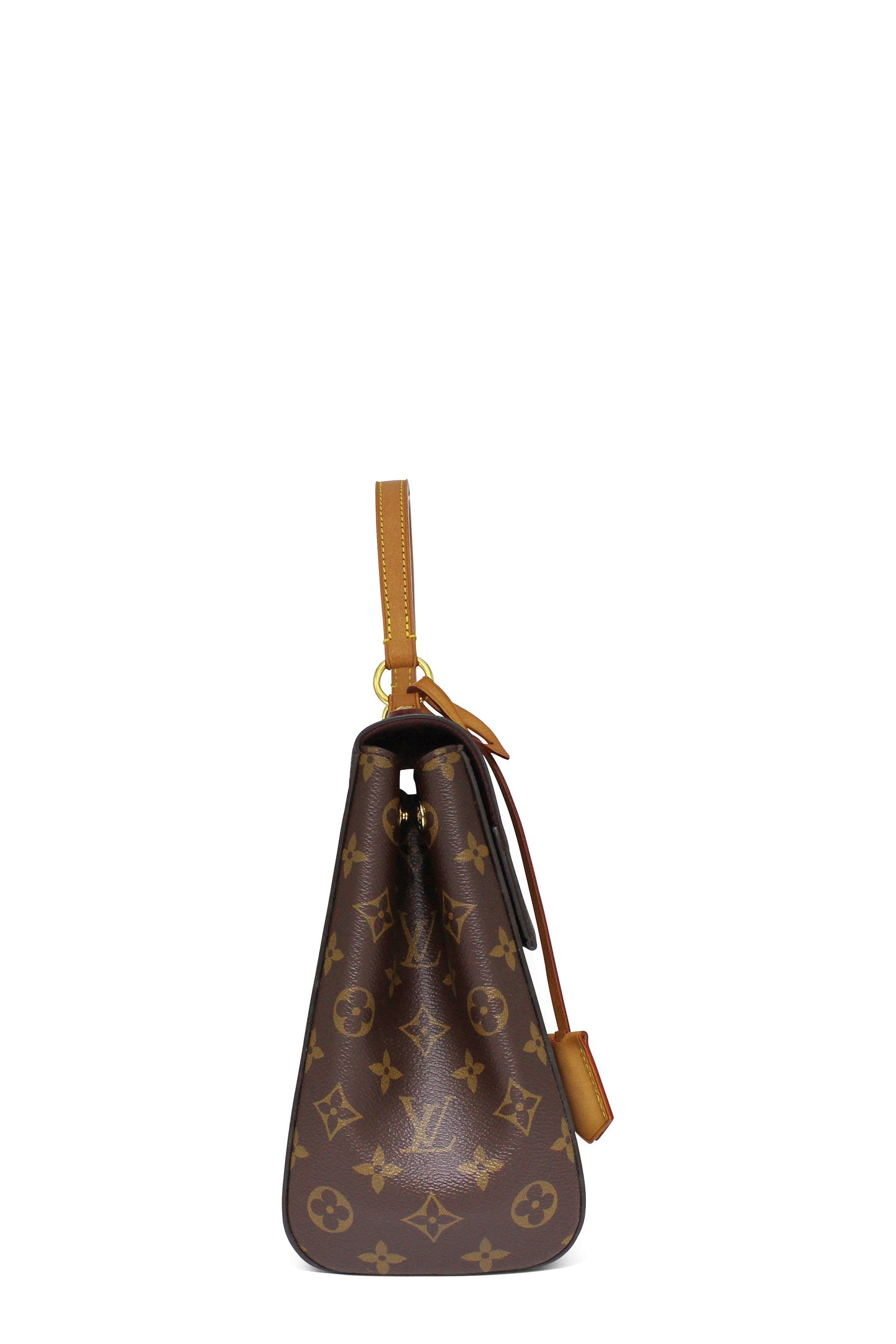Monogram Cluny MM Brown
