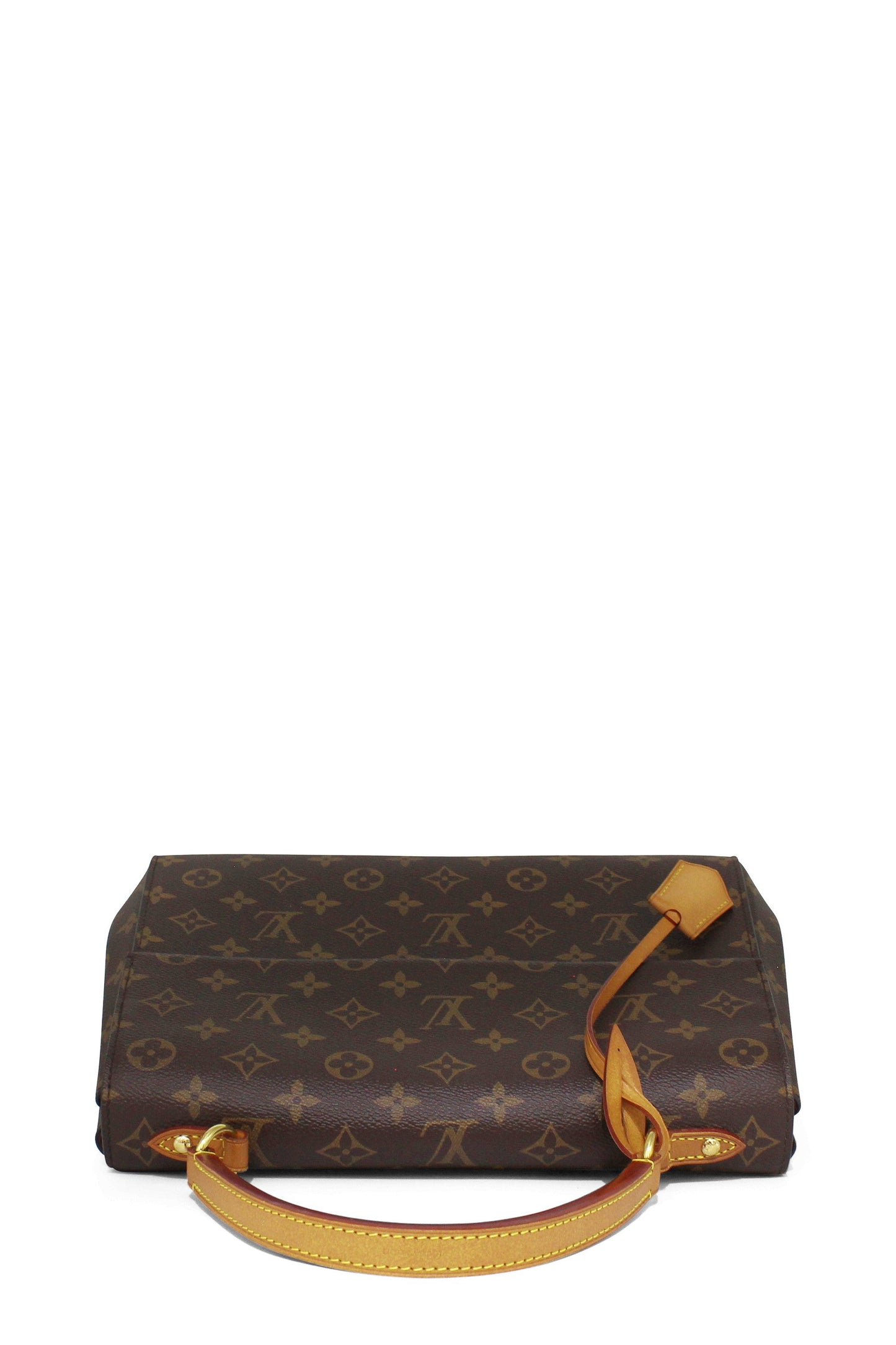Monogram Cluny MM Brown