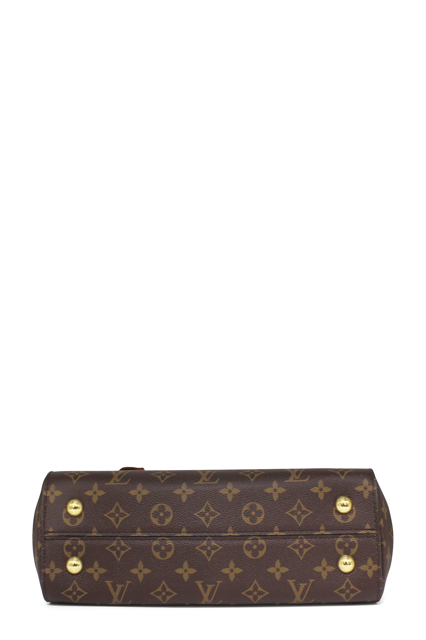 Monogram Cluny MM Brown