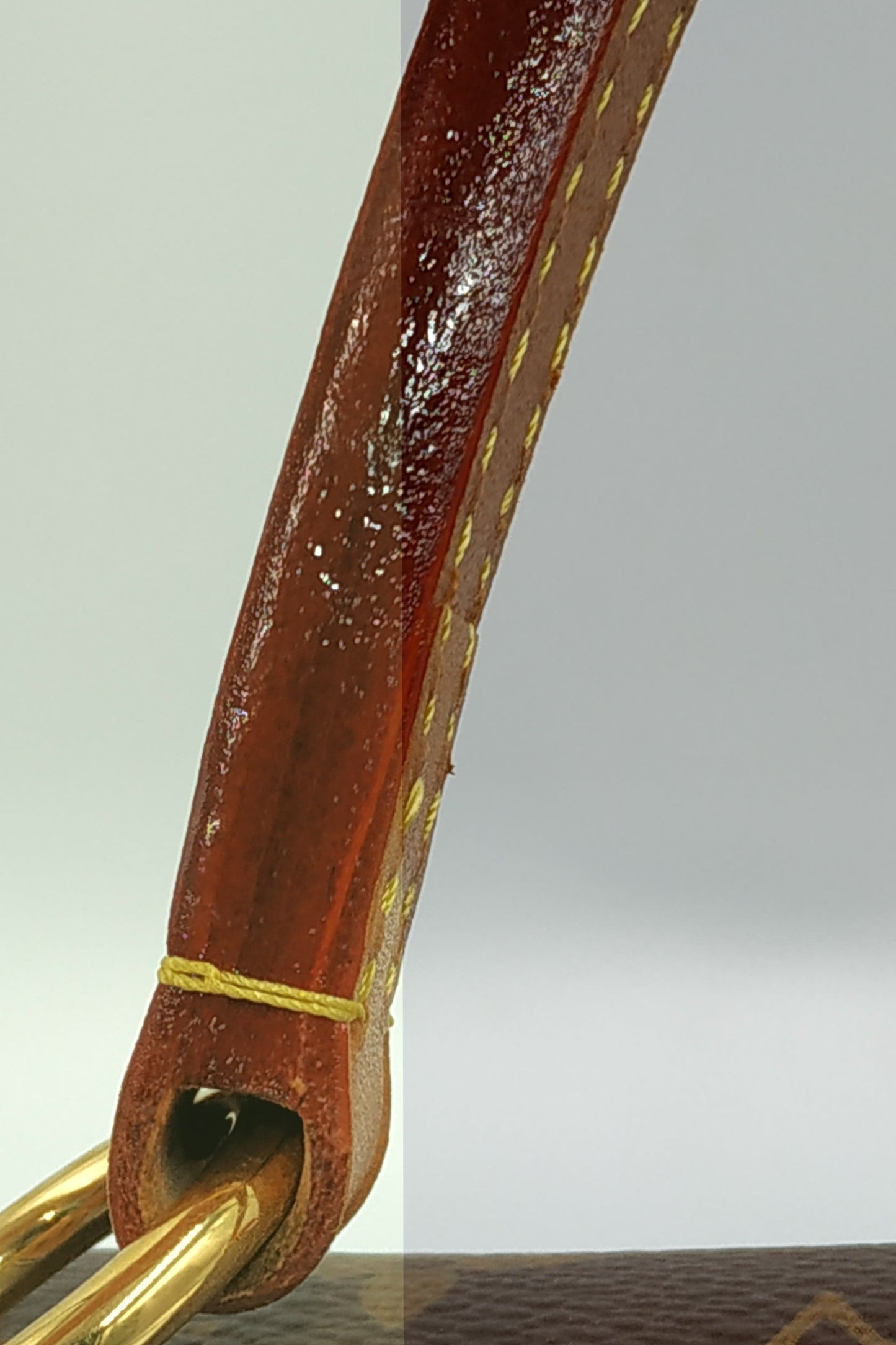 Monogram Cluny MM Brown