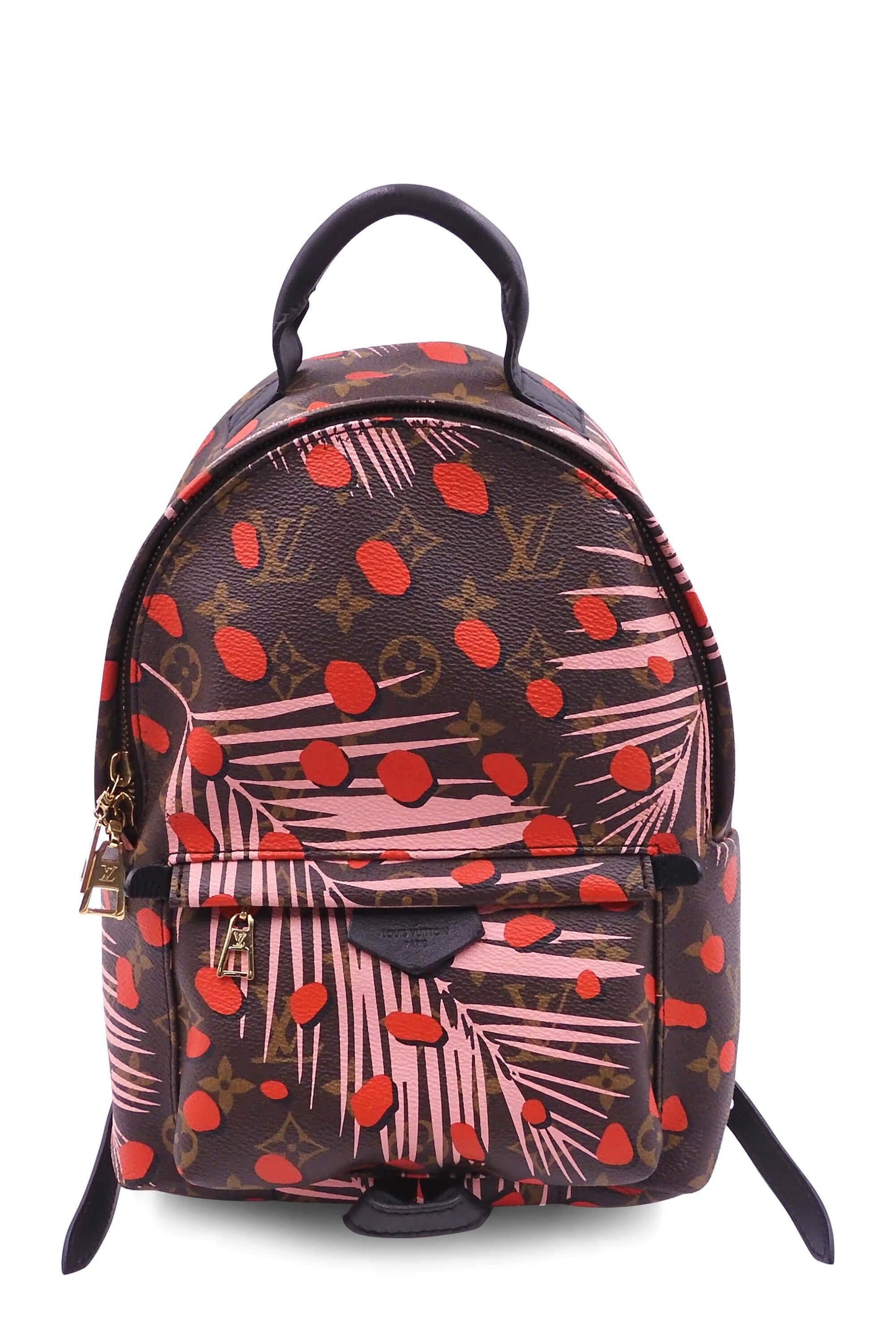 Monogram Jungle Dots Palm Springs Backpack PM Brown