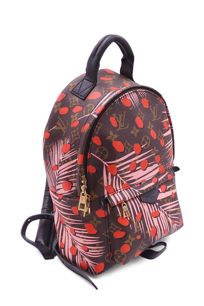 Monogram Jungle Dots Palm Springs Backpack PM Brown