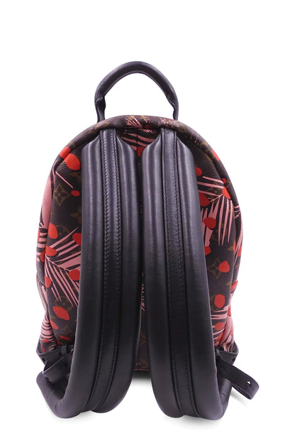 Monogram Jungle Dots Palm Springs Backpack PM Brown