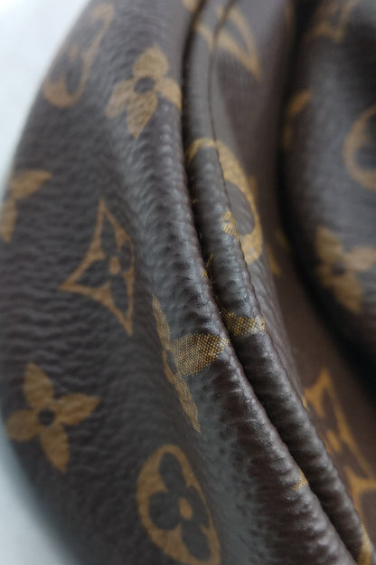 Monogram Multi Pochette Accessoires Brown