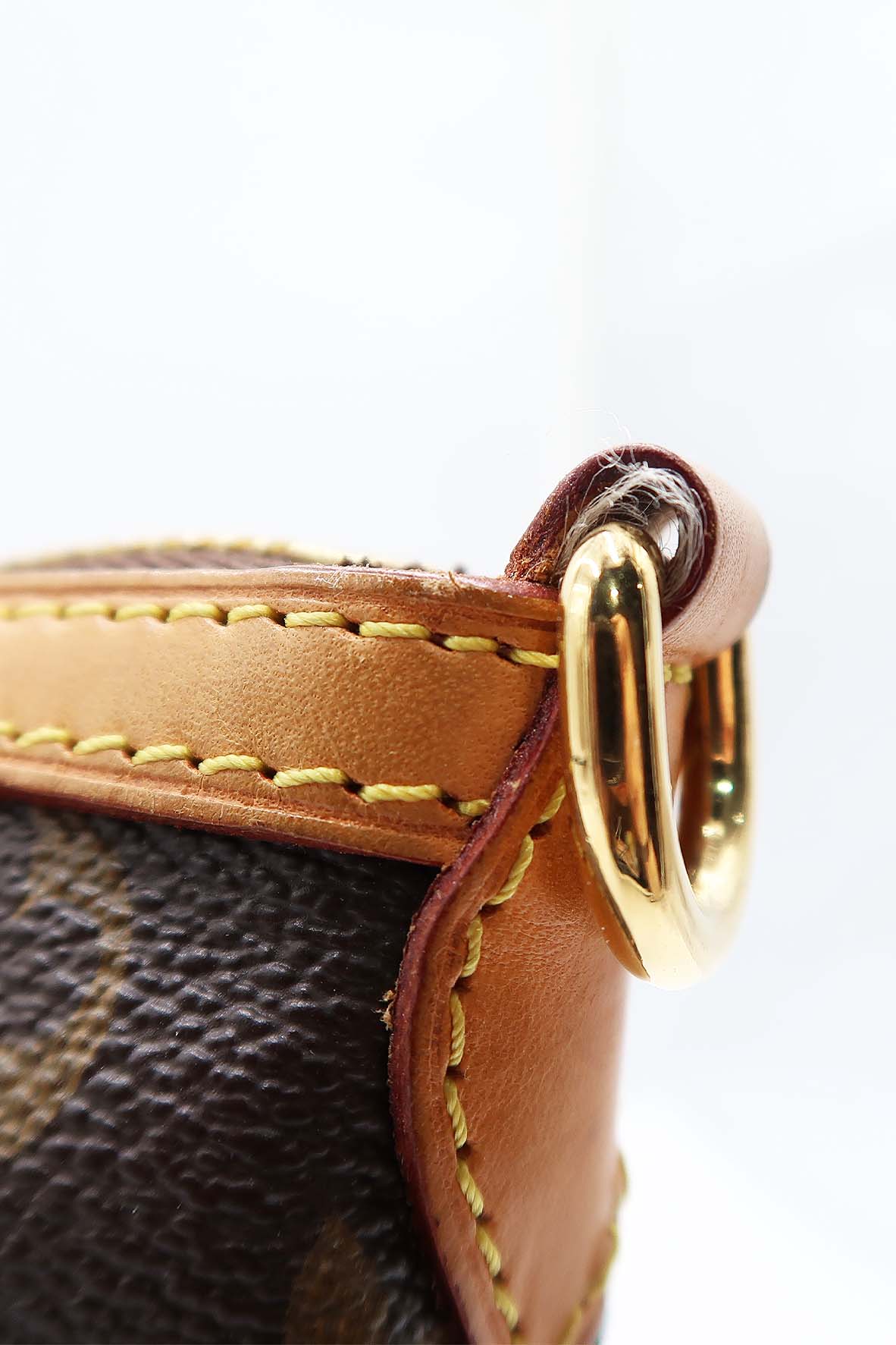 Monogram Palermo PM Brown