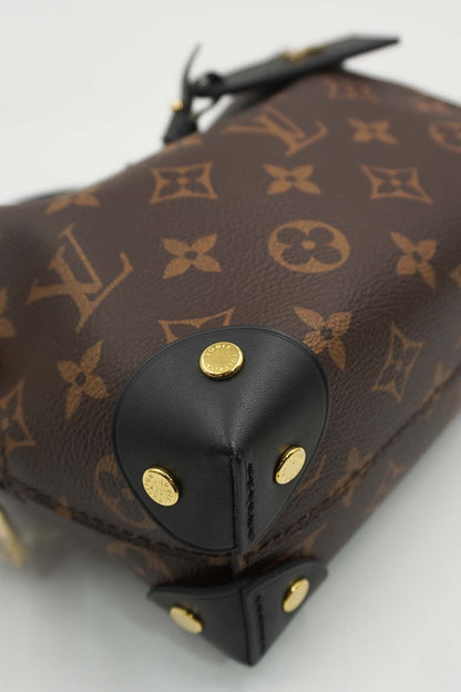 Monogram Petite Malle Souple Brown, Multicolor