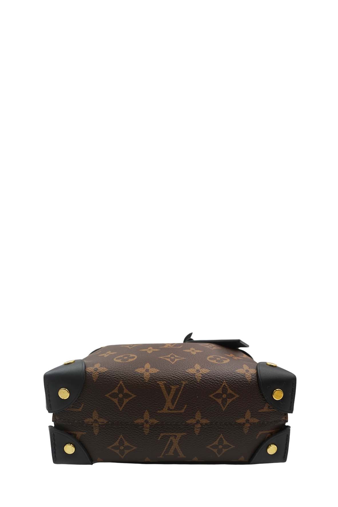 Monogram Petite Malle Souple Brown, Multicolor