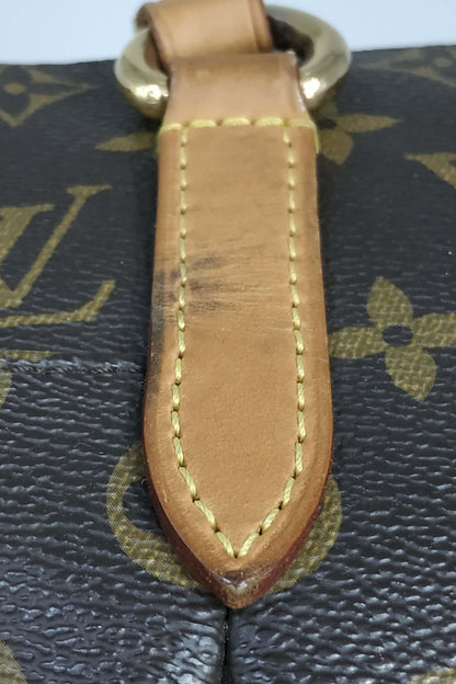 Monogram Totally PM Brown