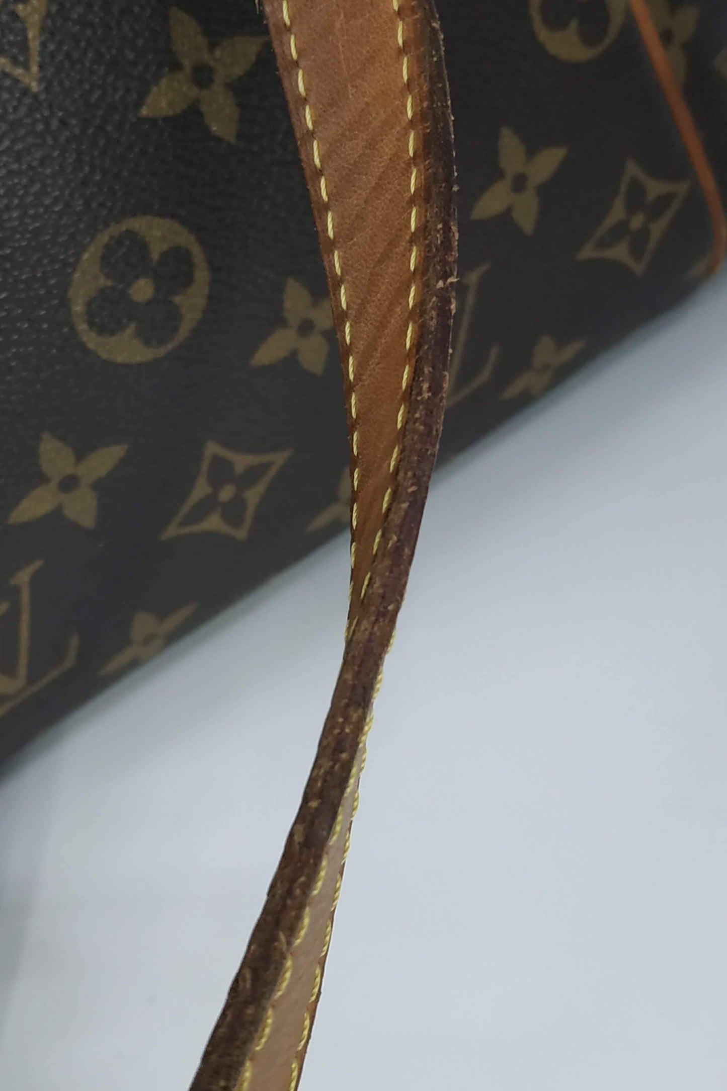 Monogram Totally PM Brown