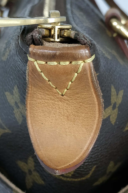 Monogram Totally PM Brown
