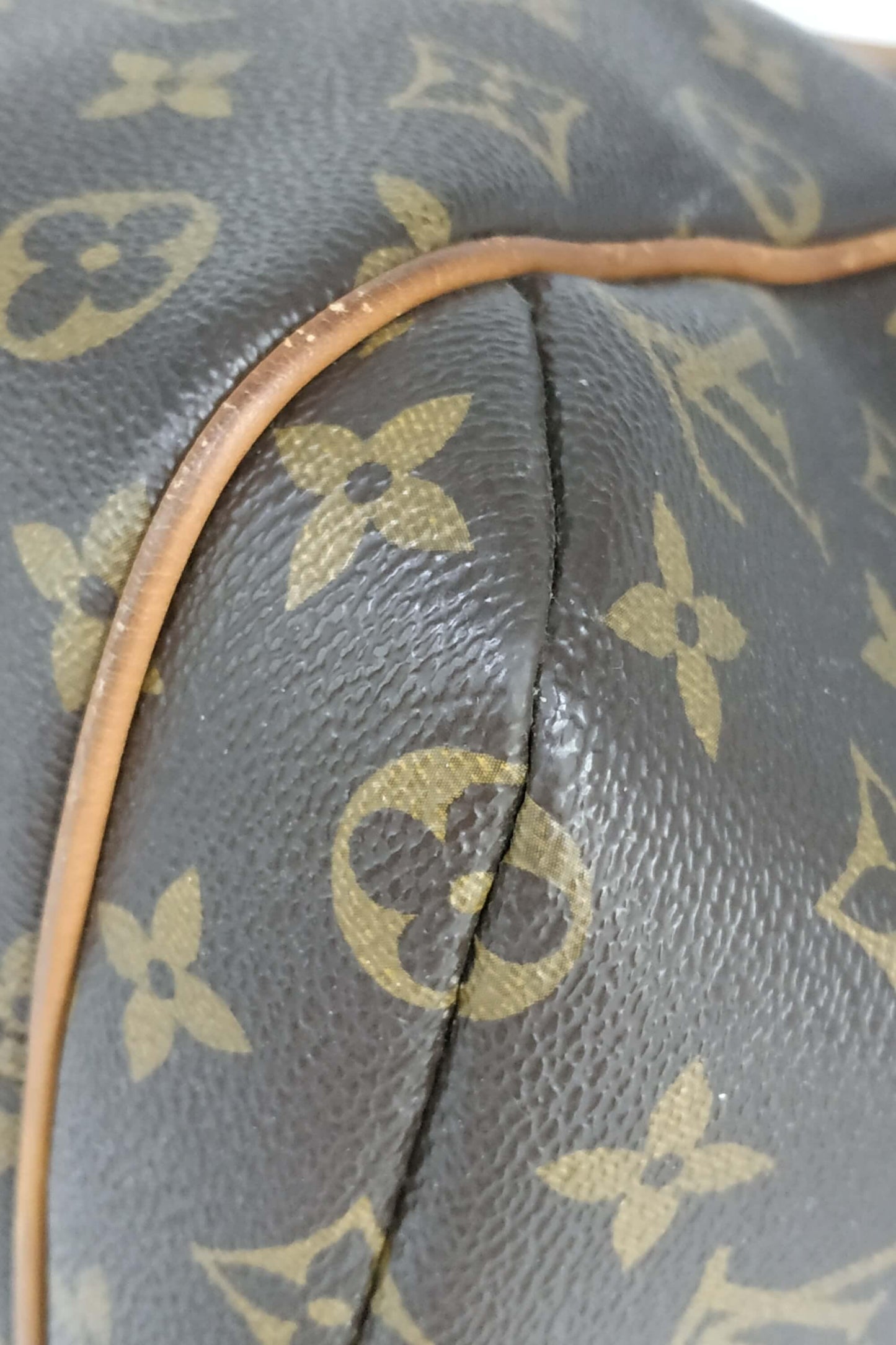 Monogram Totally PM Brown
