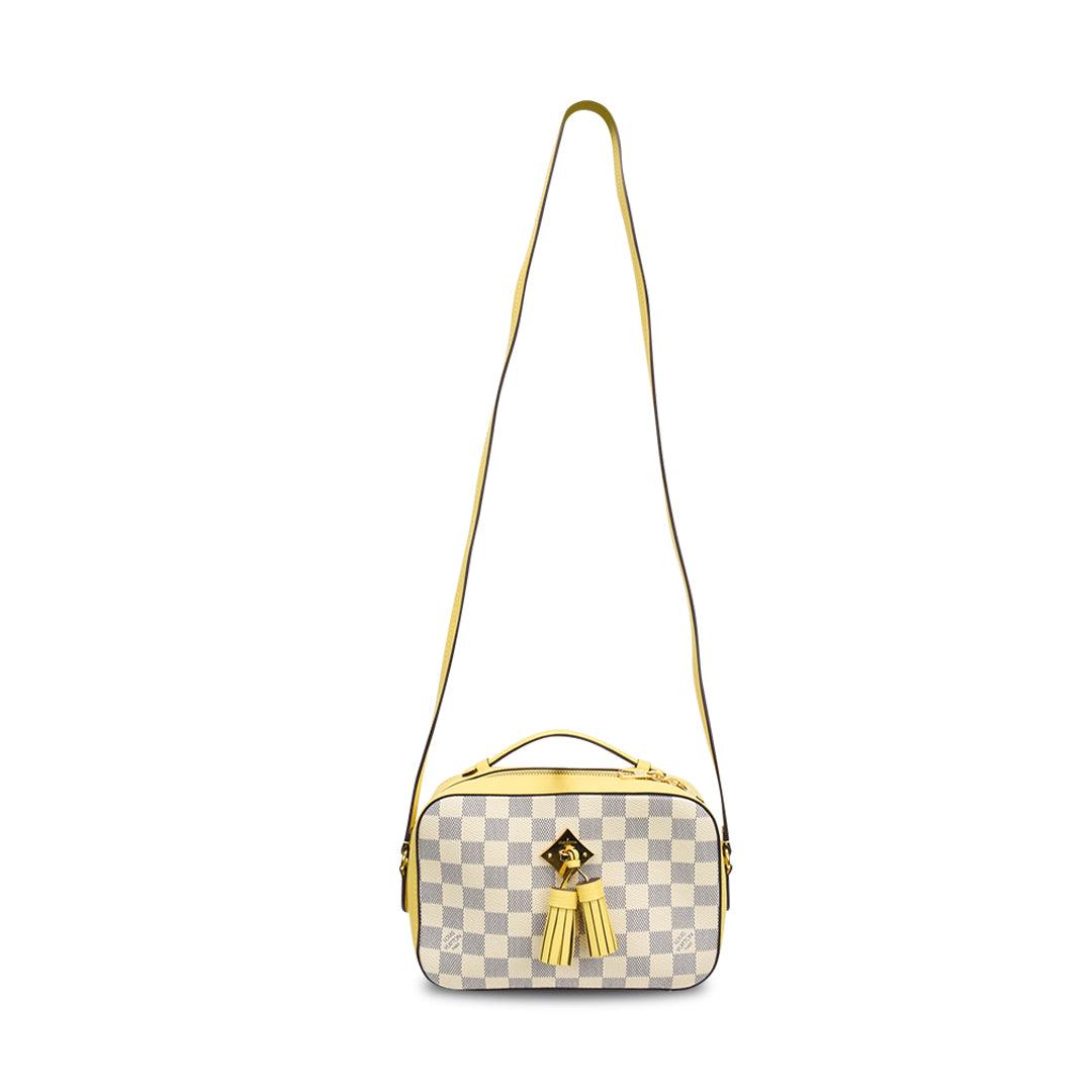 Louis Vuitton 'Saintonge' Bag