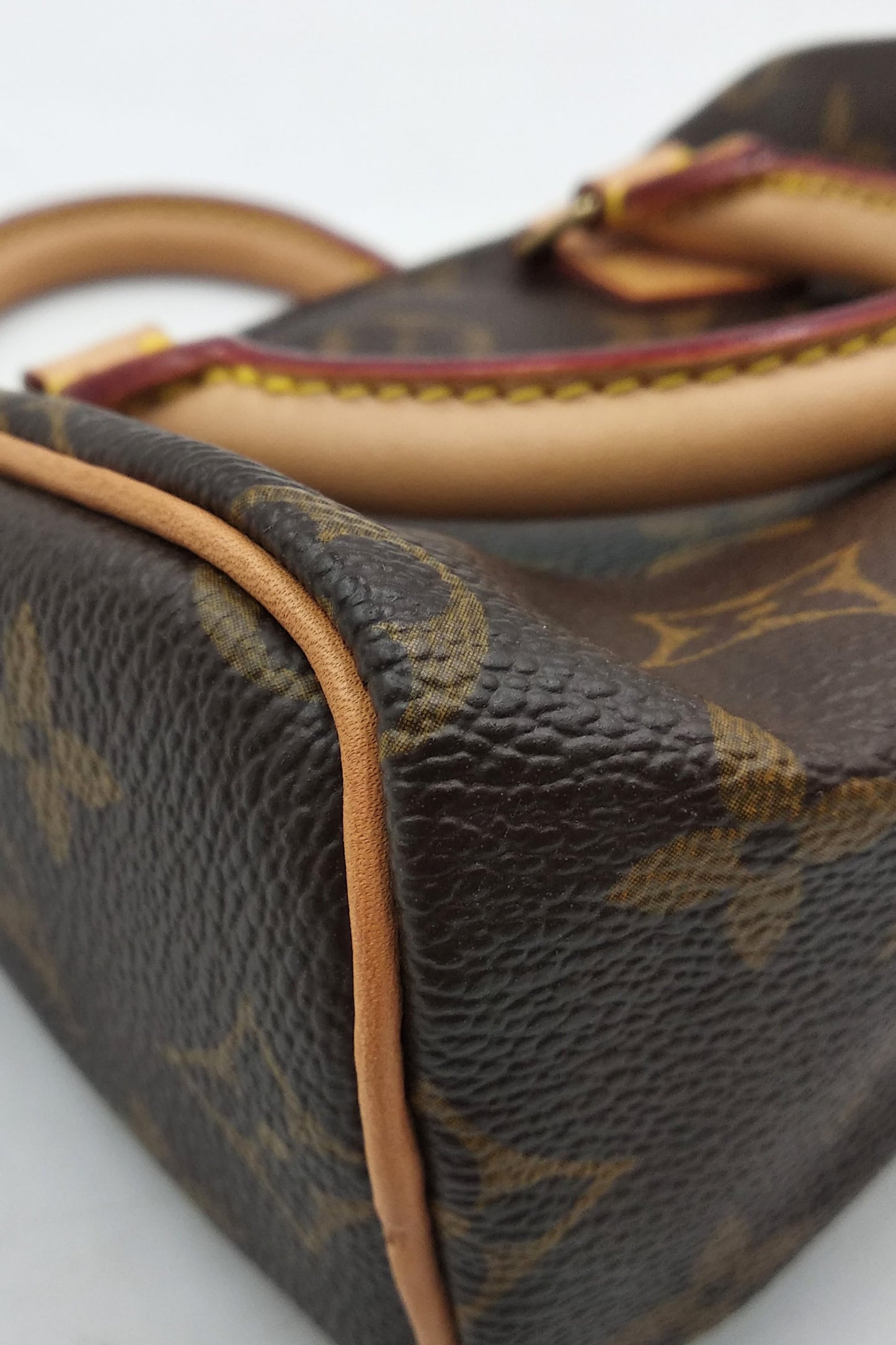 Vintage Nano Monogram Speedy Brown
