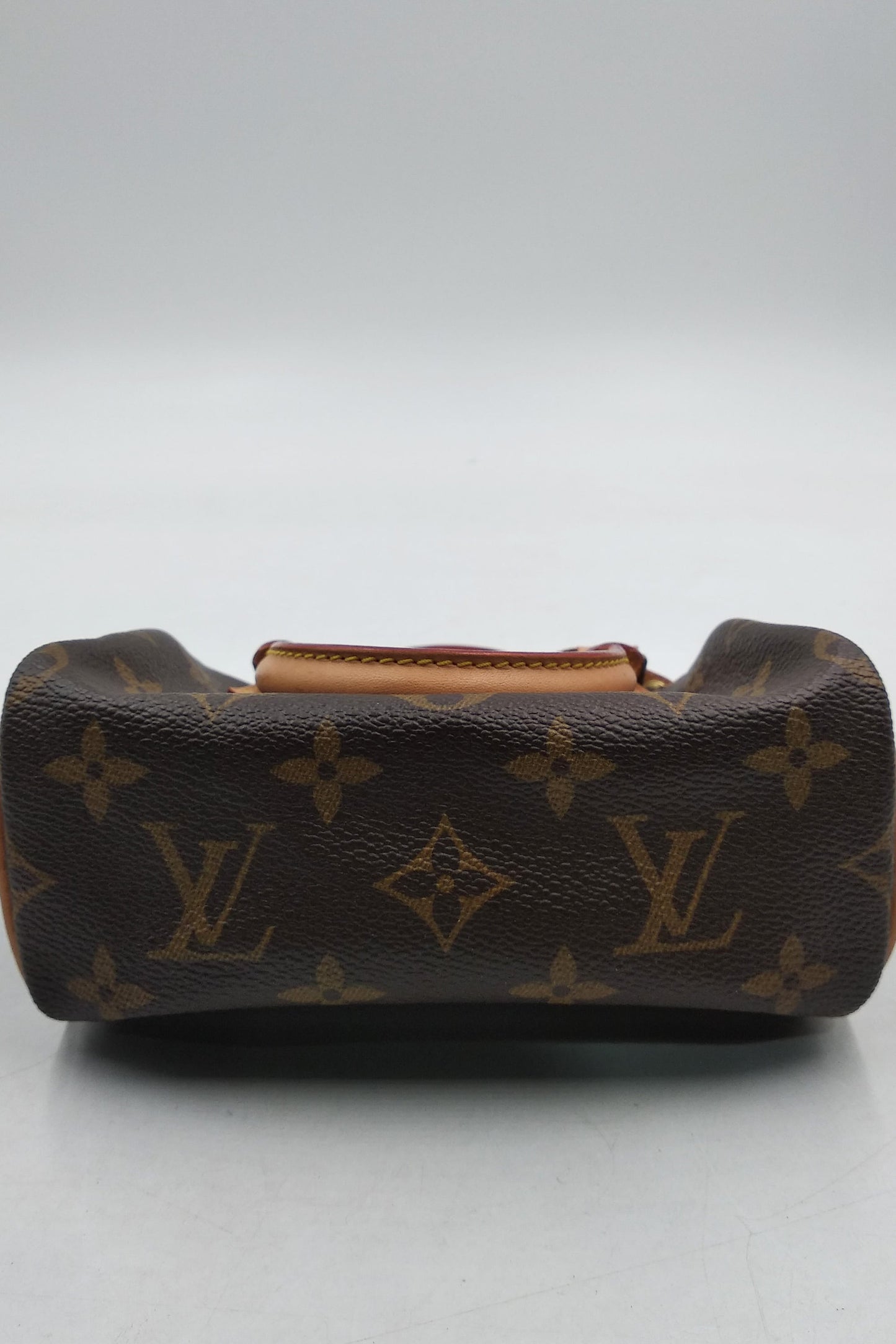 Vintage Nano Monogram Speedy Brown