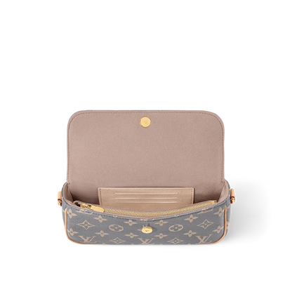 Louis vuitton Wallet on Chain Ivy