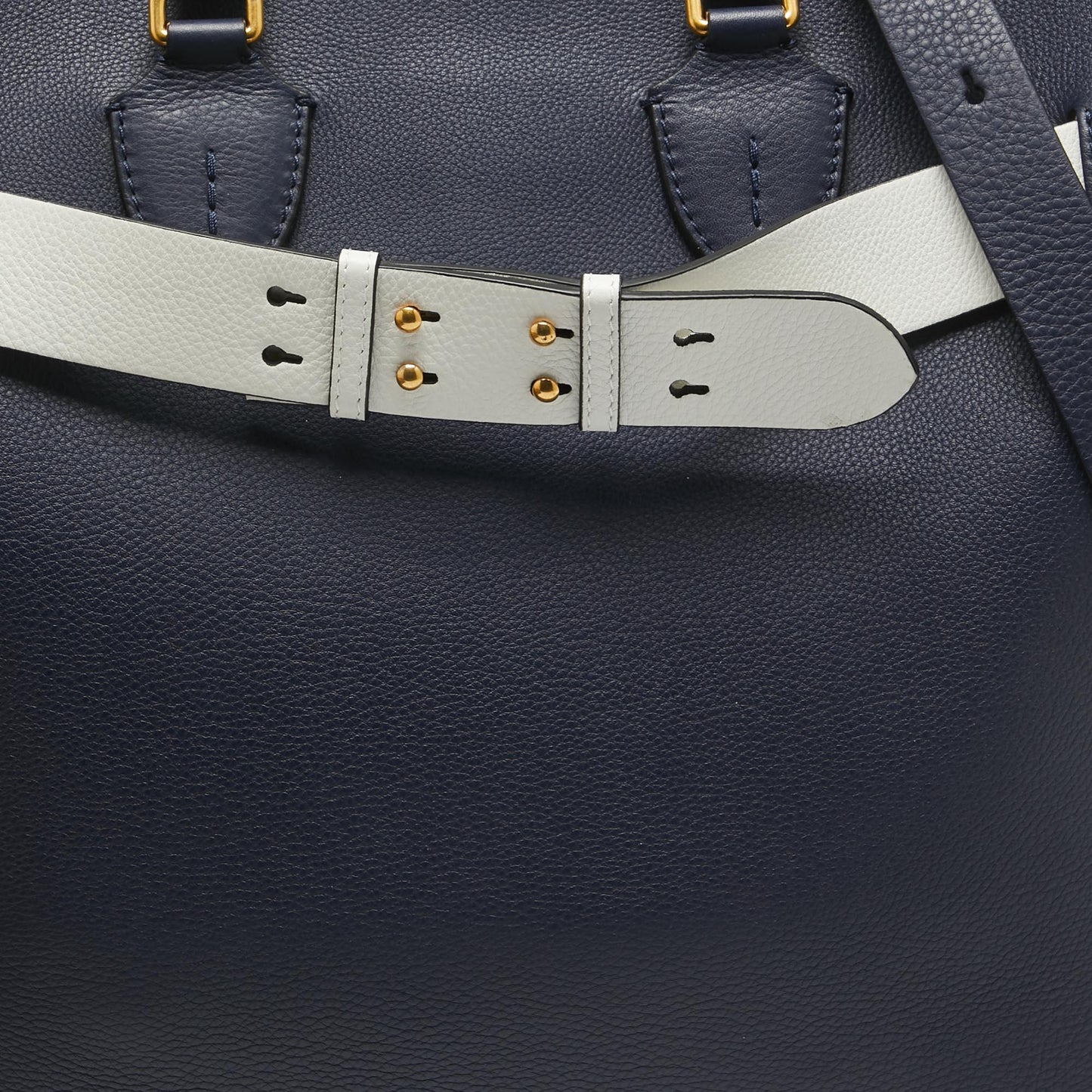 BURBERRY Navy Blue/White Leather Large Belt Bag