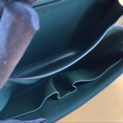 CELINE classic bag Lizard skin