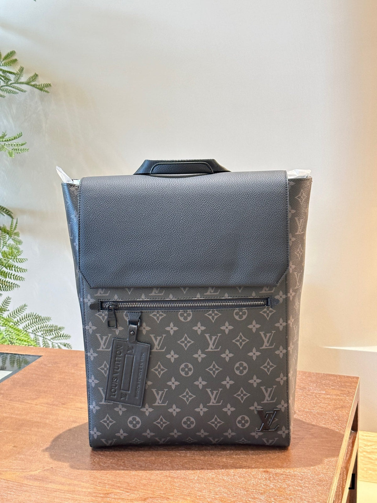 Louis vuitton handbags Backpack