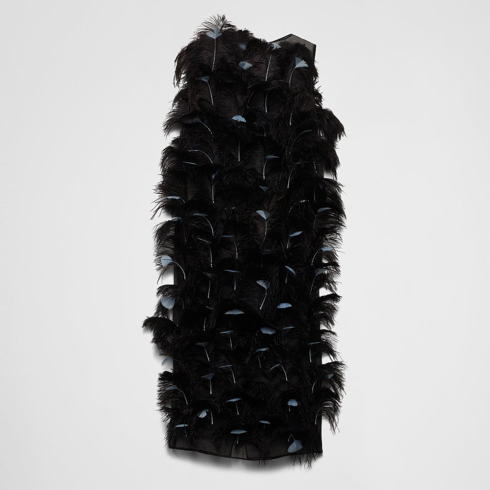 Feather-embellished silk organza dress