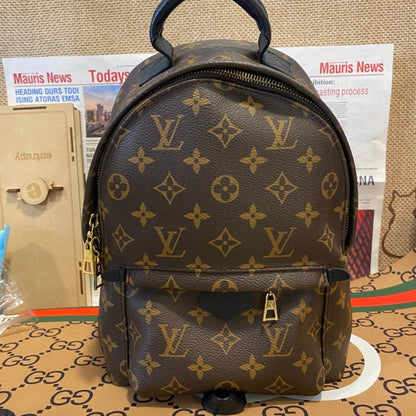 LV backpack