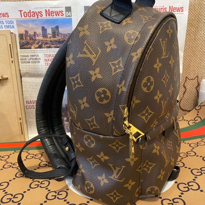LV backpack