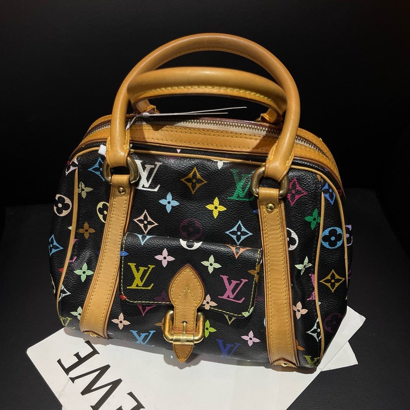 Louis Vuitton Multicolor Speedy Bag