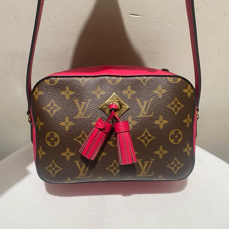 lv Louis Vuitton camera monogram bag