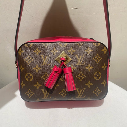 lv Louis Vuitton camera monogram bag