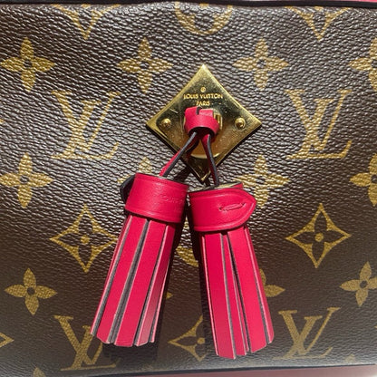 lv Louis Vuitton camera monogram bag