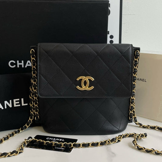 Unused🆕 Chanel Hobo Bag Small (2021) #13968