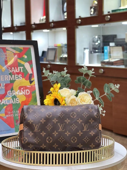 Louis Vuitton Speedy 25 Monogram 12349