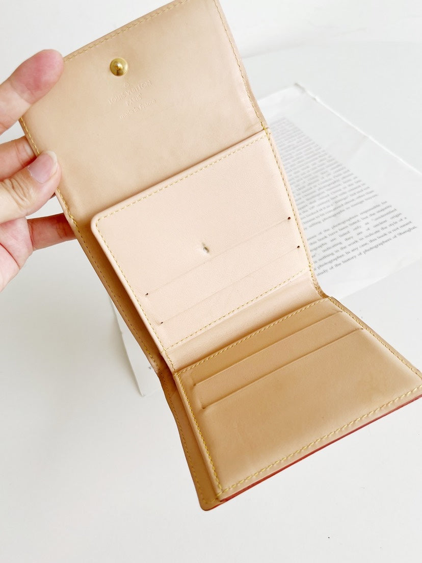 Louis Vuitton Multicolor Wallet