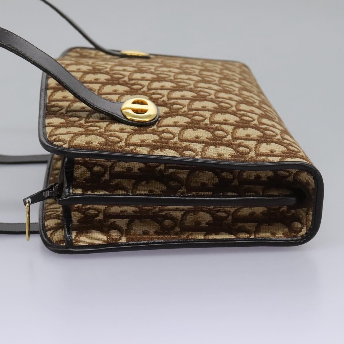 Christian Dior Trotter Canvas Brown Canvas Handbag ()