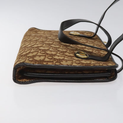 Christian Dior Trotter Canvas Brown Canvas Bag ()
